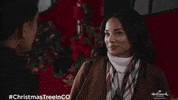 Decorating Christmas Tree GIF by Hallmark Channel