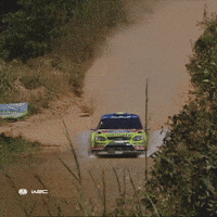 Ford Kick GIF by FIA World Rally Championship