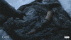 Prepare Season 7 GIF by Game of Thrones