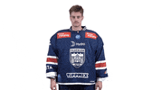 Celebration GIF by Fehervar AV19