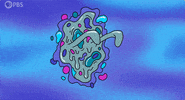 Aging Human Body GIF by PBS Digital Studios