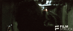 park chan wook fight GIF by FilmStruck