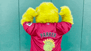 Minor League Baseball GIF by Fresno Grizzlies