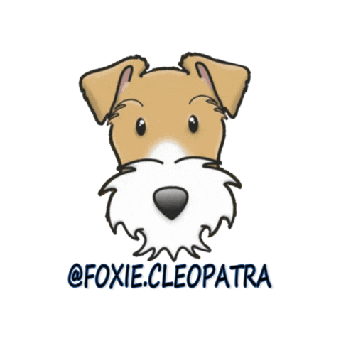 FoxieCleopatra terrier wft wire fox terrier foxiecleopatra Sticker