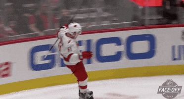 Ice Hockey Hug GIF by NHL