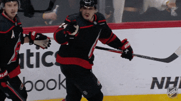Happy Carolina Hurricanes GIF by NHL