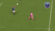 passe fc grenoble GIF by FCG Rugby