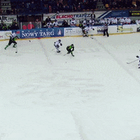 Hockey Hokej GIF by GKS Katowice