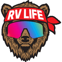 Bear Camping Sticker by RV LIFE Pro