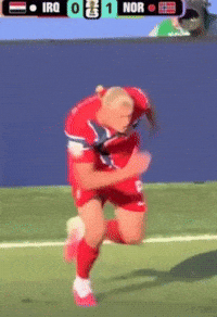Norway Viking GIF
