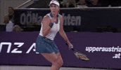 Pavlyuchenkova GIF