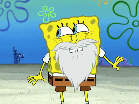 season 4 GIF by SpongeBob SquarePants