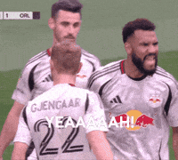 New York Red Bulls Yes GIF by Major League Soccer