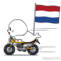 Lets Go Football GIF by Sappy Seals