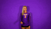 Clemsonvb Championshipbehavior GIF by Clemson Tigers