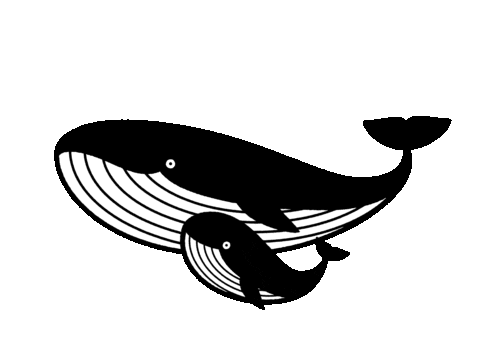 thesoapandthesea giphyupload ocean sea whale Sticker