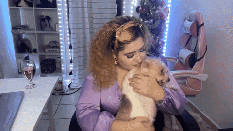 Dog Puppy GIF