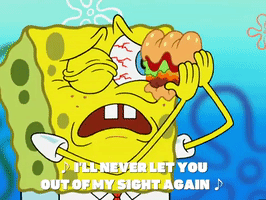 season 5 to love a patty GIF by SpongeBob SquarePants