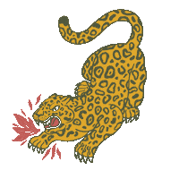 Tiger Culture Sticker by Kohl's