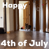 Happy 4Th Of July GIF