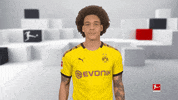 Football Soccer GIF by Bundesliga