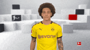 Football Soccer GIF by Bundesliga