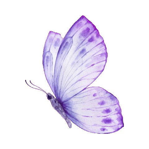 elistorycriativo butterfly voe elistorycriativo borboleta Sticker