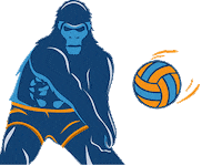 Volleyball Sticker by Pekma PKN STAN