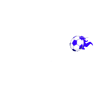 FordLatino soccer futbol gol ford Sticker