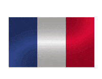 France Flag Sticker by Softball Europe