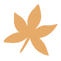 Flower Flores Sticker by ANDREARTS
