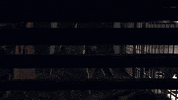 Cowboy Fallout GIF by Xbox