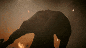 Season 2 Hero GIF by Paramount+
