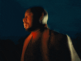 Midsommar GIF by Bartees Strange