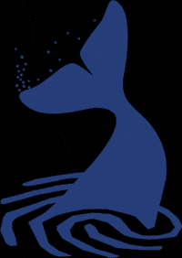 Travel Beluga GIF by Cape Tracks