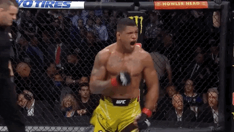 Sport Mma GIF by UFC