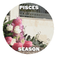Zodiac Sign Dog Sticker by Sealed With A GIF