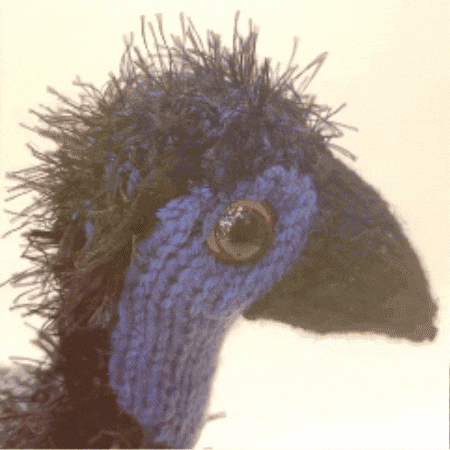 Big Bird GIF by TeaCosyFolk