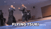 martial arts mma GIF by AKBAN Academy