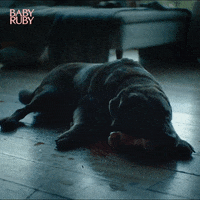 Scared Baby GIF by Magnolia Pictures
