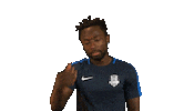 football Sticker by 1. fotbalová liga