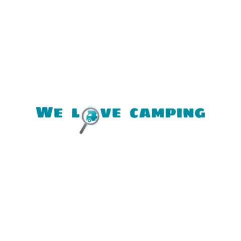 Van Love Sticker by Reisemobile-MKK