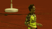 bundesliga povlsen GIF by Borussia Dortmund