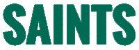 Siena Saints Sticker by Siena College