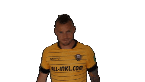 Bundesliga Hand Sticker by SG Dynamo Dresden