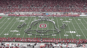 Victory Ringing GIF by tbdbitl