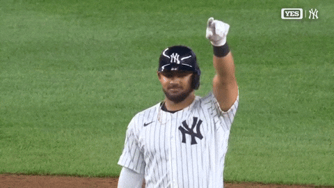 New York Yankees Sport GIF by MLB
