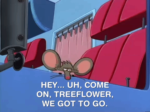nickrewind giphydvr nicksplat angry beavers giphyab017 GIF