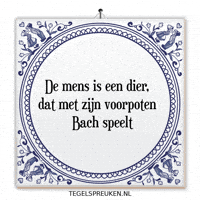 Humor Nl GIF by Tegelspreuken.nl