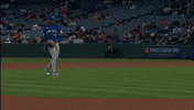 Blue Jays Baseball GIF by Toronto Blue Jays